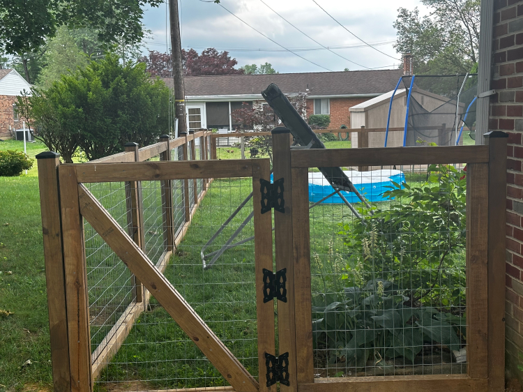 The left side fence with gate that has three hinges.